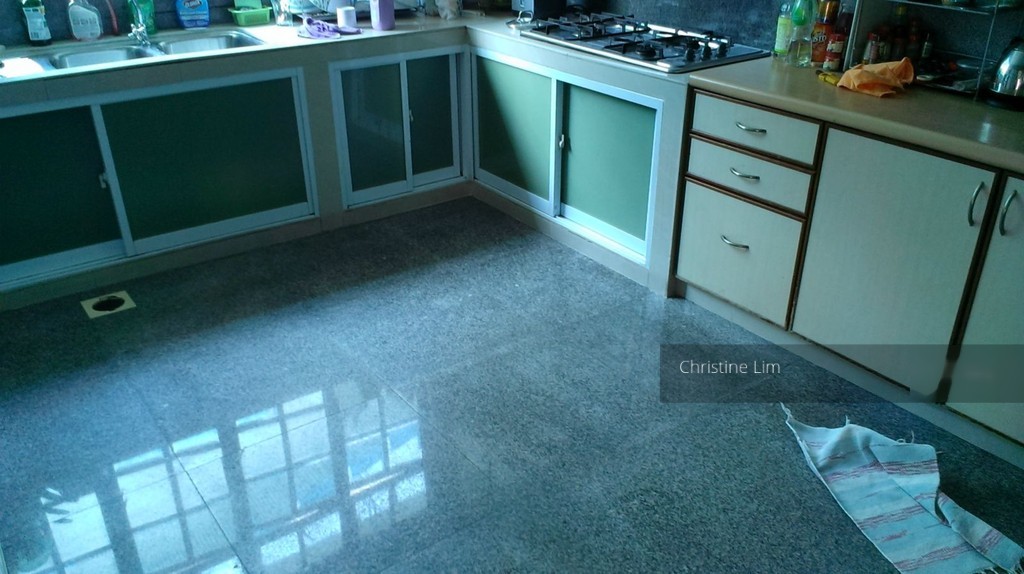 Lorong Marican thumbnail photo